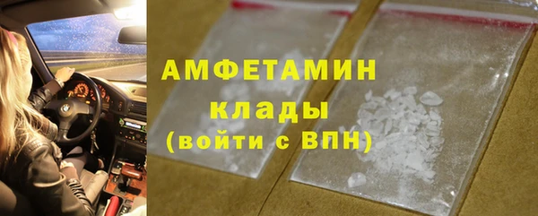 прущие крисы Бородино