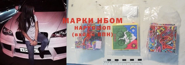 прущие крисы Бородино
