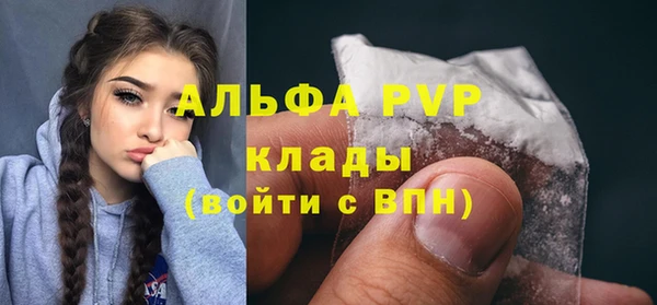 прущие крисы Бородино