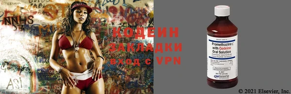 гидра Бронницы