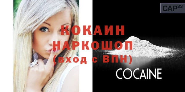 гидра Бронницы