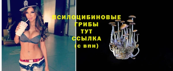 гидра Бронницы