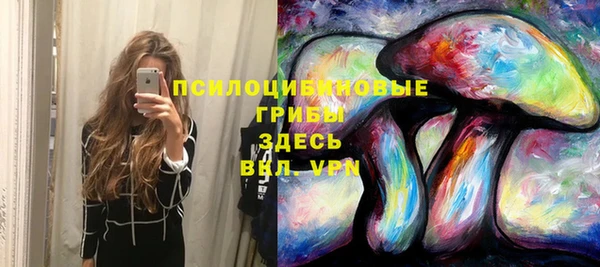 прущие крисы Бородино