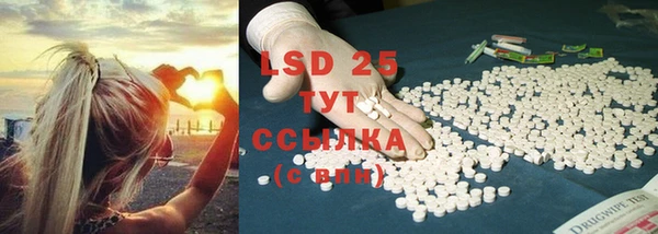 прущие крисы Бородино