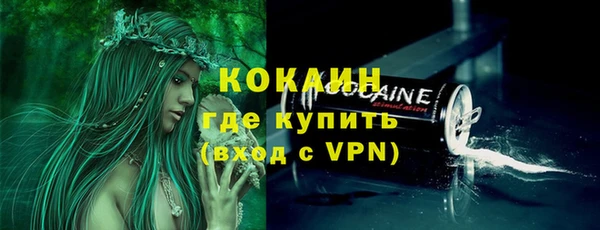 гидра Бронницы