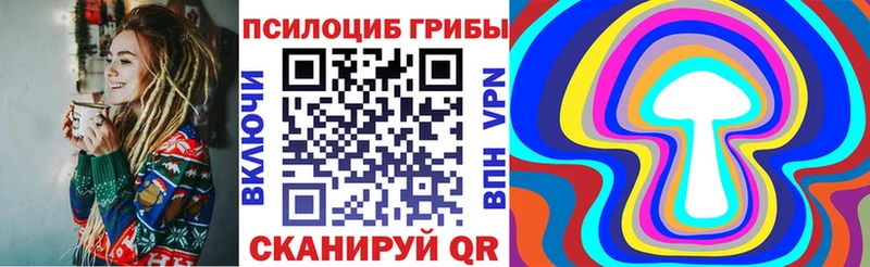 Псилоцибиновые грибы Psilocybe  цены   Можайск 